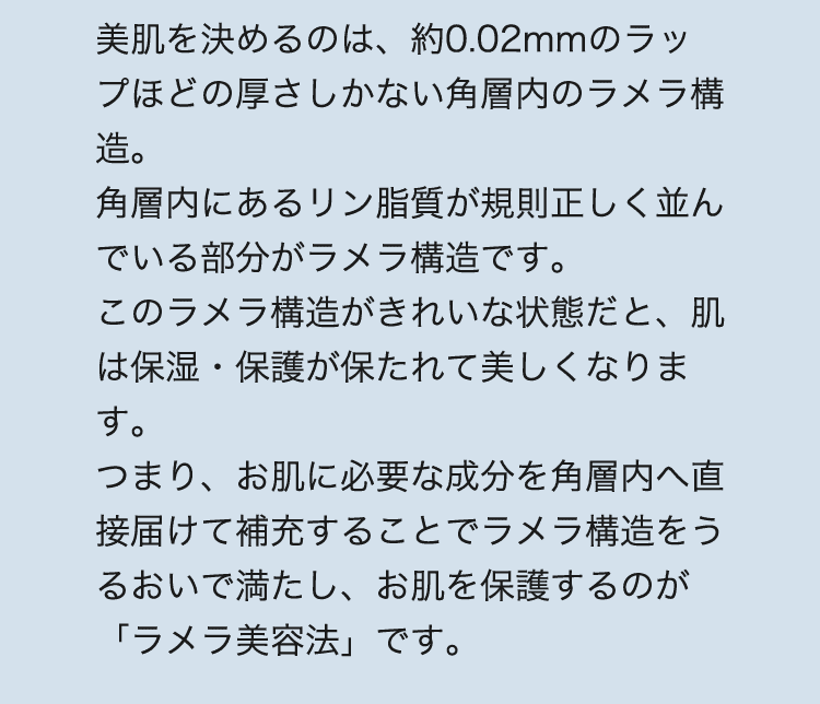 角層内のラメラ構造と保湿の関係｜水分保持とバリア機能の重要性